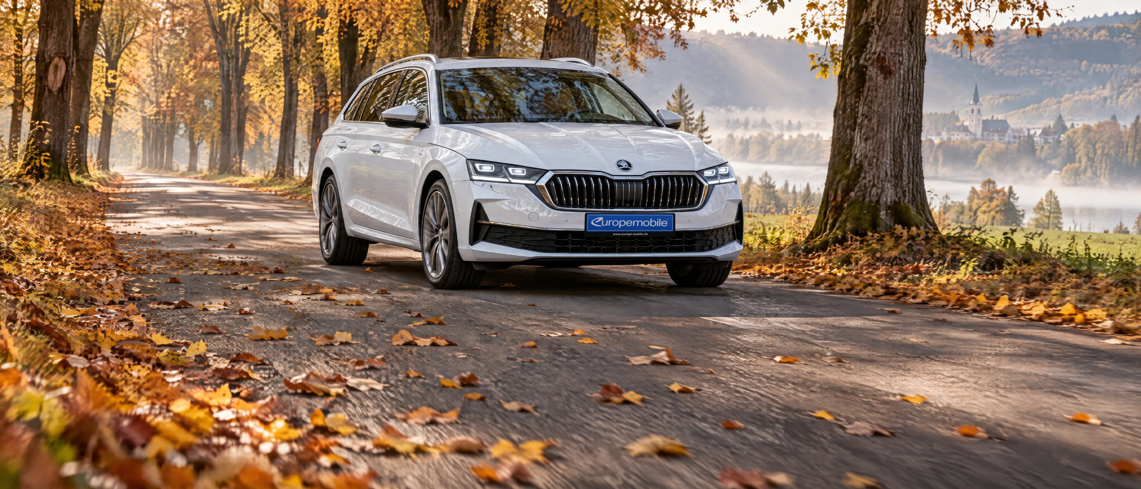 Škoda Octavia Combi in Weiß auf einer herbstlichen Allee