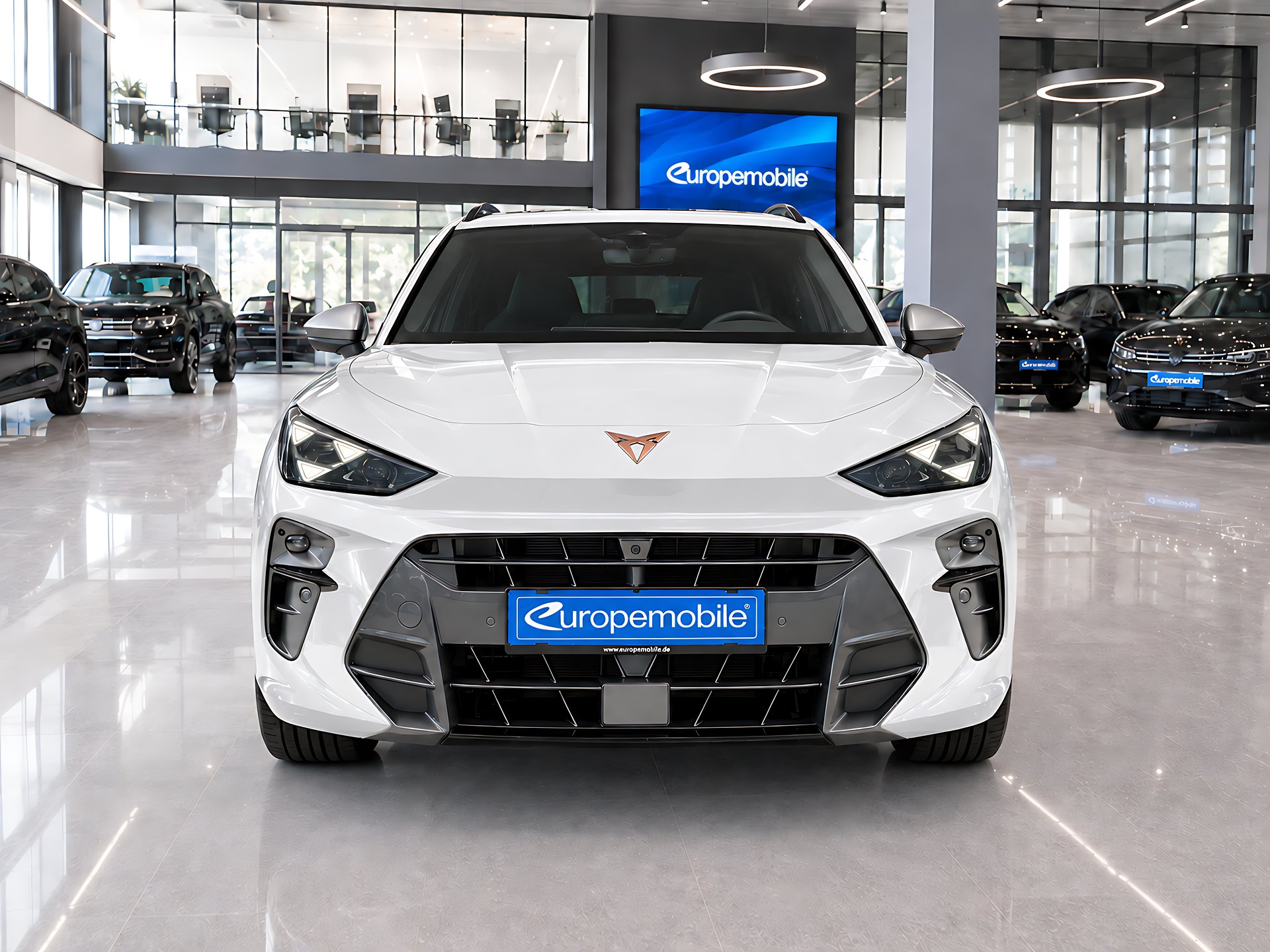 Cupra Terramar in Glacial Weiß, frontansicht
