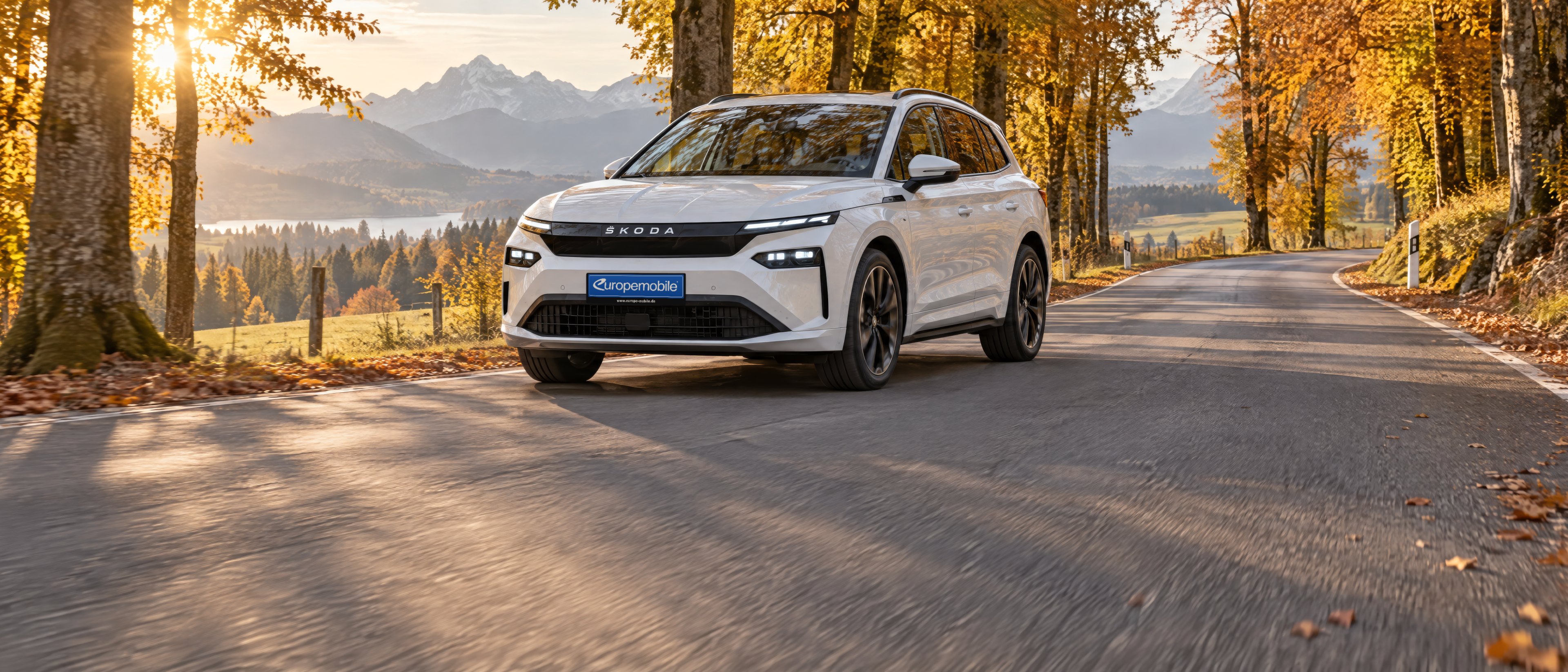 Škoda Enyaq 2026 in Weiß auf einer Herbstallee im Voralpenland