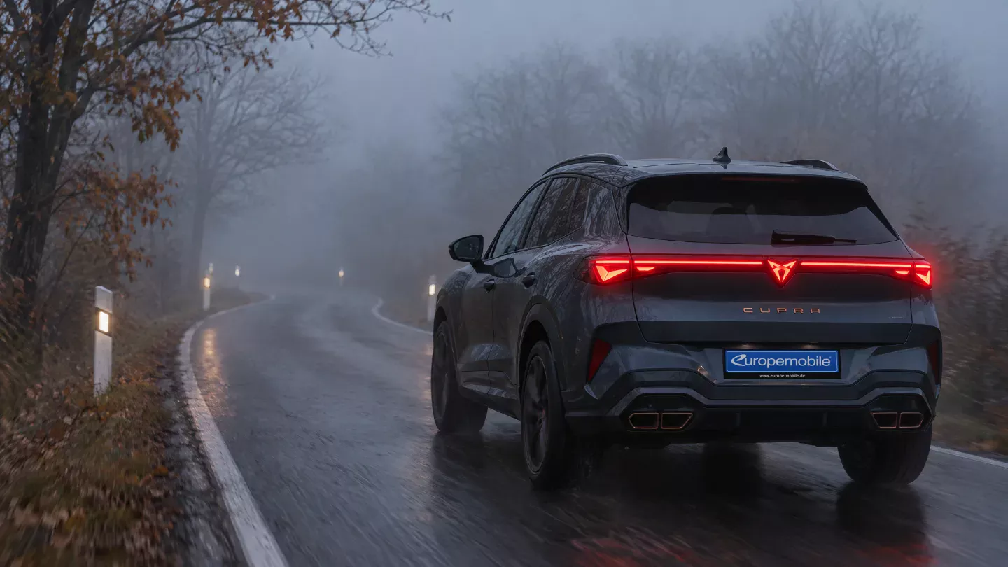 Heck eines dunkelgrauen Cupra Terramar mit leuchtendem Lichtband auf einer Landstraße im Herbstnebel, am Rand Leitpfosten